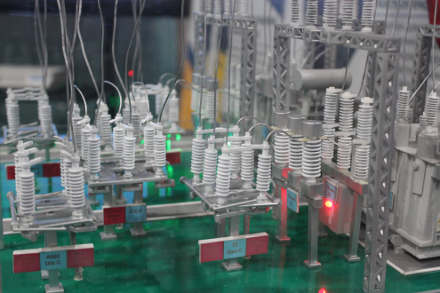 Эрчим хүчний салбарынхан маргааш Сүхбаатарын талбайд жагсана