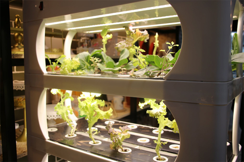 СЭХ-ний байгууллагуудыг “EduPark Eco Expo”-д урьж байна